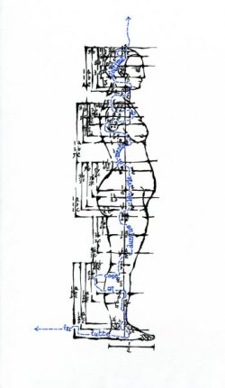 Della simmetria dei corpi - 3