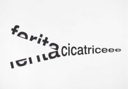 Ferita-Cicatrice