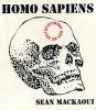 Homo sapiens