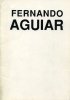 Fernando Aguiar - IN / OUT poems