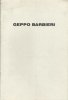 Geppo Barbieri. Images & Objects